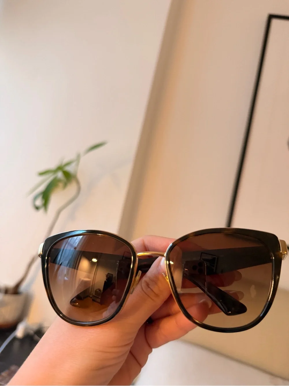 Dolce & Gabbana Women's Tortoiseshell Frame Sunglasses with Gold Accents